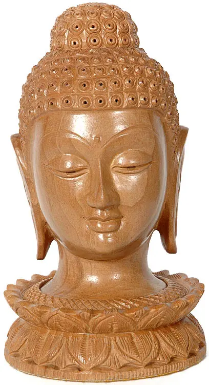 Buddha Head