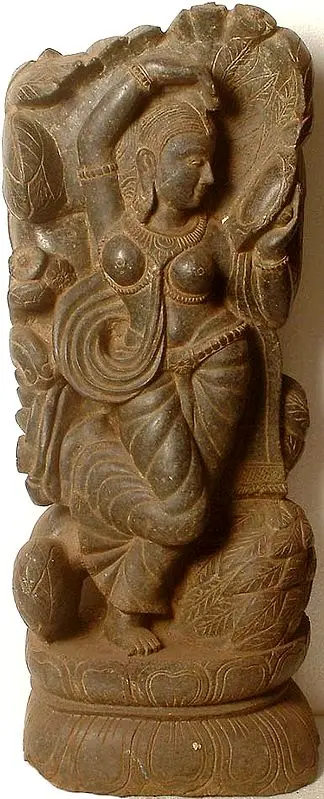 Celestial Nymph
