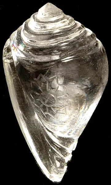 Crystal Conch