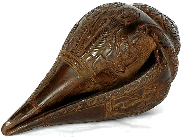 Dashavatara Conch