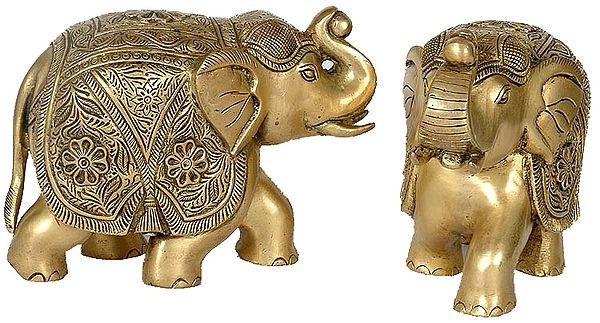 Auspicious Elephant Pair with Upraised Trunks
