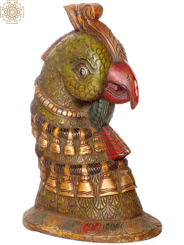 Parrot Head