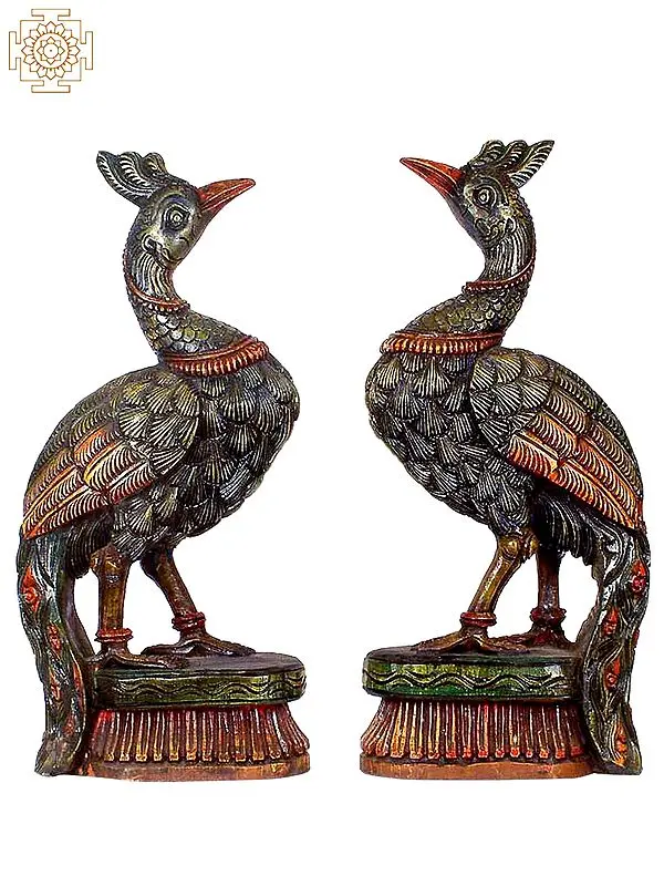 Auspicious Temple Peacocks