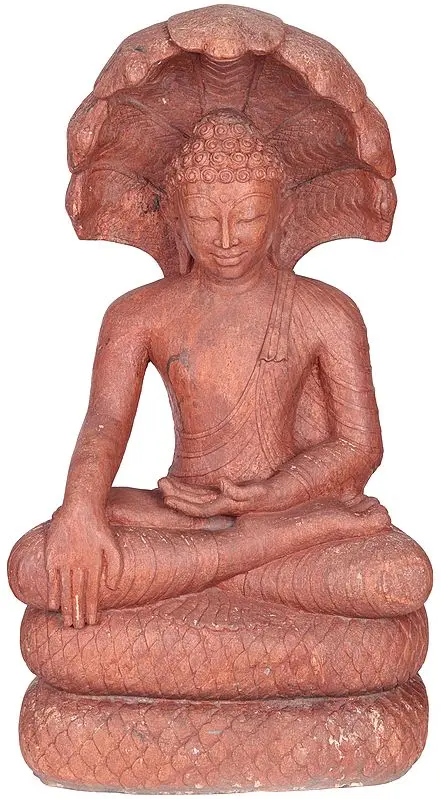 Large Size  Buddha Shielded by Muchalinda