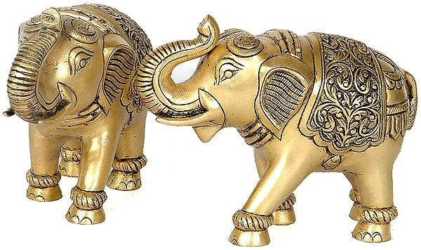 Elephant Pair with Trunks Raised Above the Head (Highly Auspicious According to Vastu)