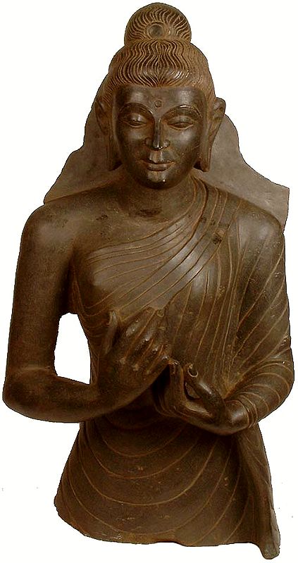 Gandhara Buddha