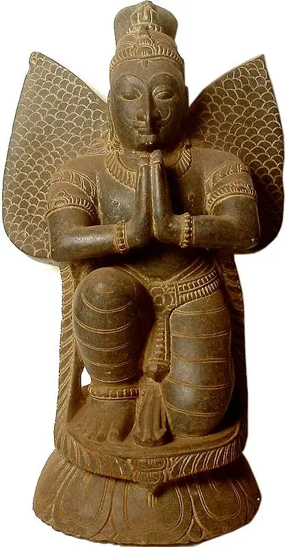 Garuda