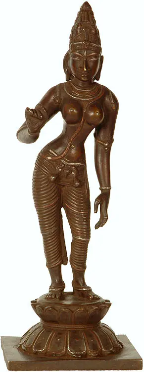 Goddess Parvati