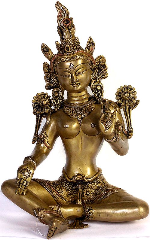 Green Tara (Tibetan Buddhist Deity)