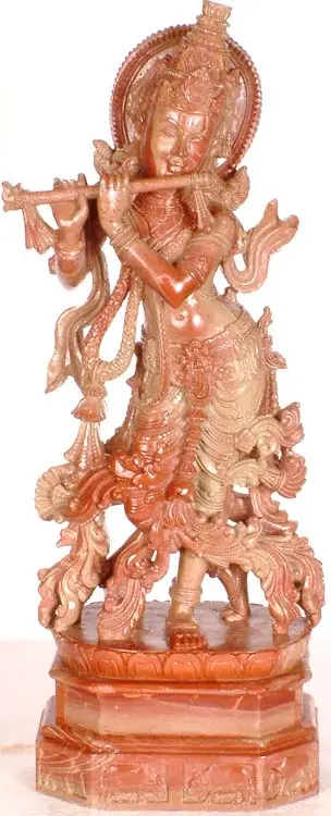 Lord Krishna