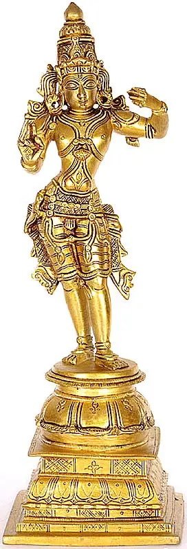 Lord Rama Standing on Inverted Lotus Pedestal