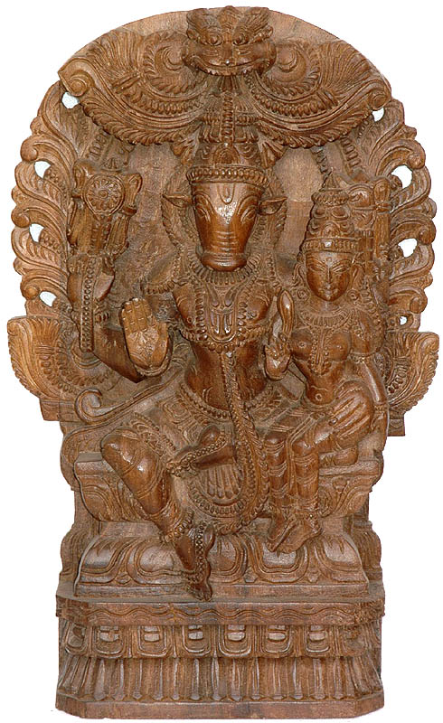 Lord Vishnu as Varaha with His Shakti