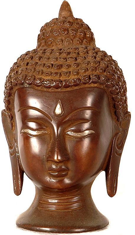 Mathura Buddha Head