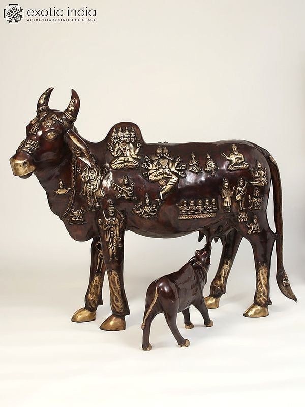 48" Large Kamadhenu Cow with Calf | Brass Statue