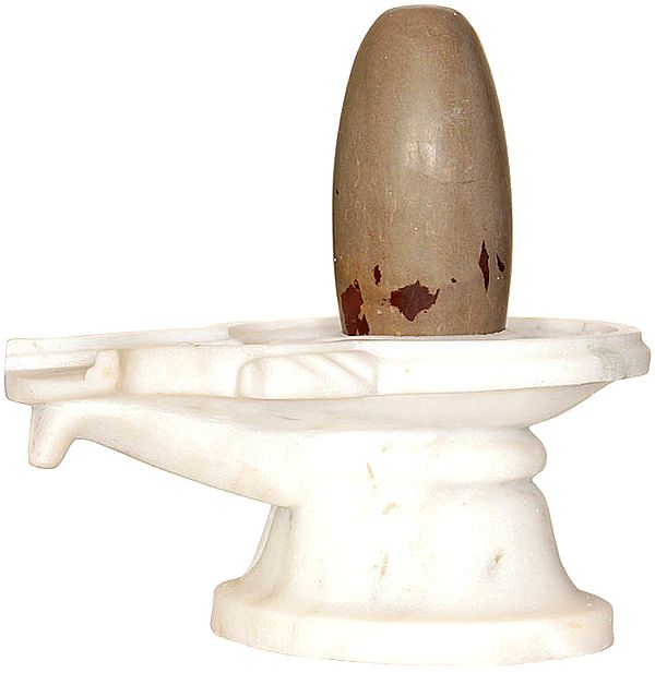 Narmada Shiva Linga with White Marble Base