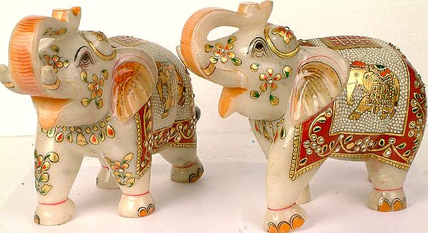 Pair of Elephants