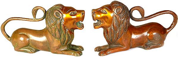 Pair of Lions