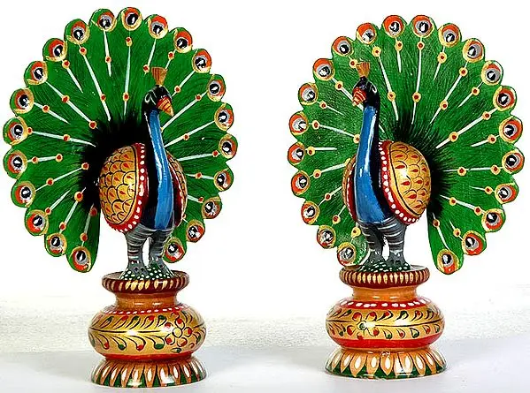 Peacock Pair