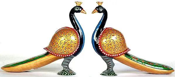 Peacock Pair