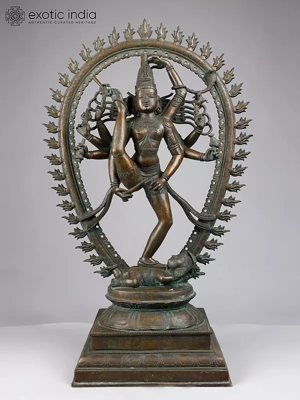 31" Large Shiva Tandava (Nataraja) | Madhuchista Vidhana (Lost-Wax) | Panchaloha Bronze from Swamimalai