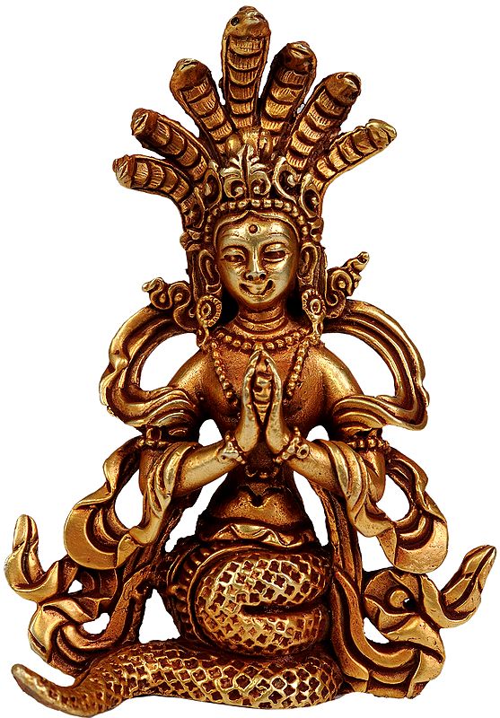 Naga-Kanya making an Offering to Lord Vishnu