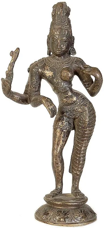 Ardhanarishvara