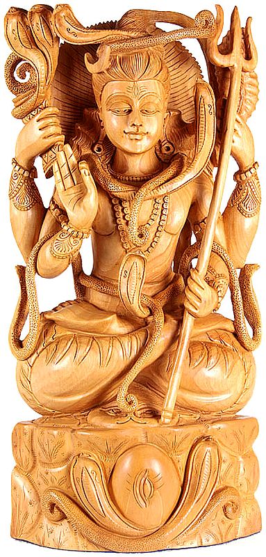 Yoga Dakshinamurti Shiva