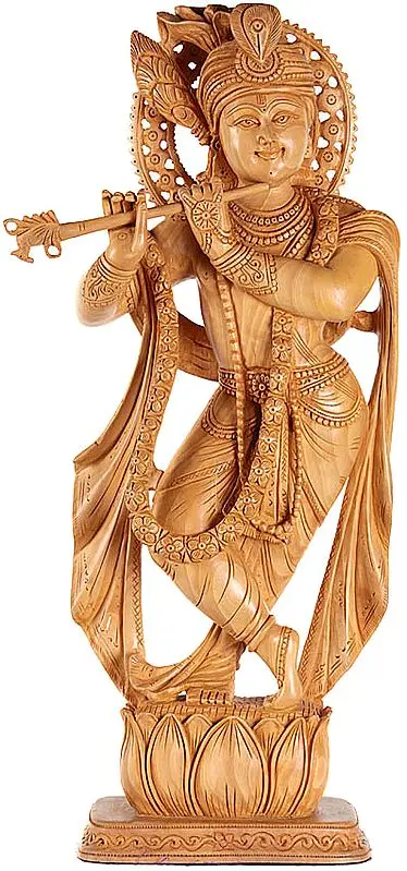 Krishna's Maya
