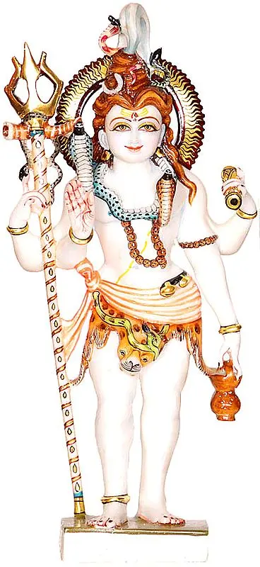A Devotee's Loving Vision of Lord Shiva