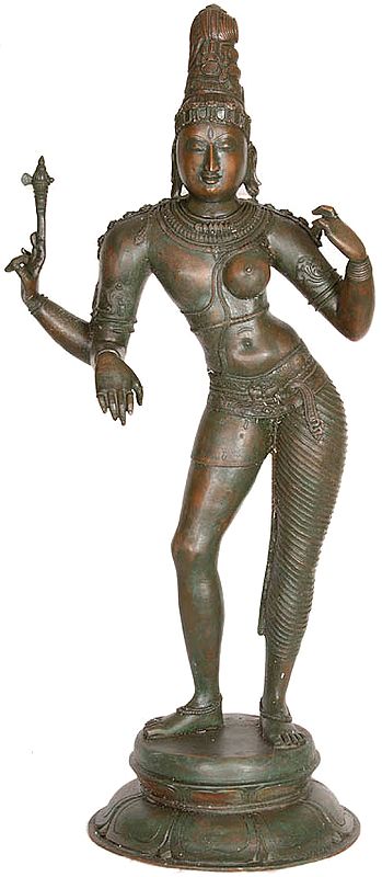 A Classical, Composite Image of Shiva and Parvati