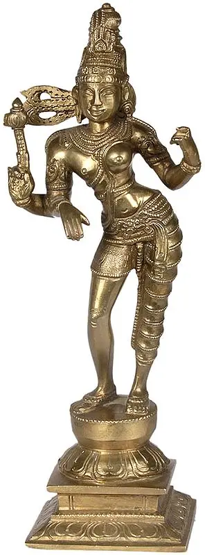Ardhanarishvara (Shiva Shakti)
