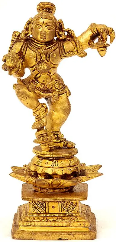 Baby Krishna