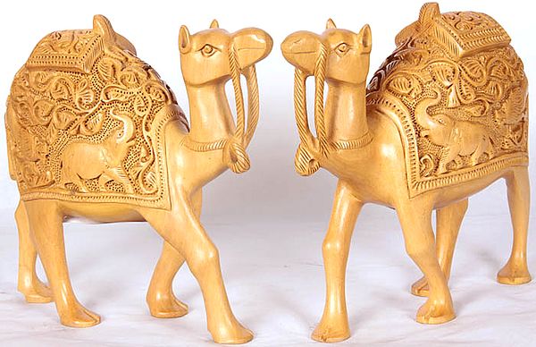 Handcrafted Camel Pair