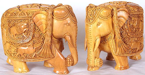 Elephant Pair (Body Engraved with Wild Life Scenes)