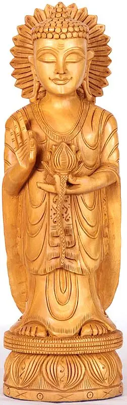 Japanese Buddha