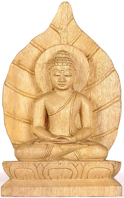 Buddha in Meditation against the Backdrop of Pipal