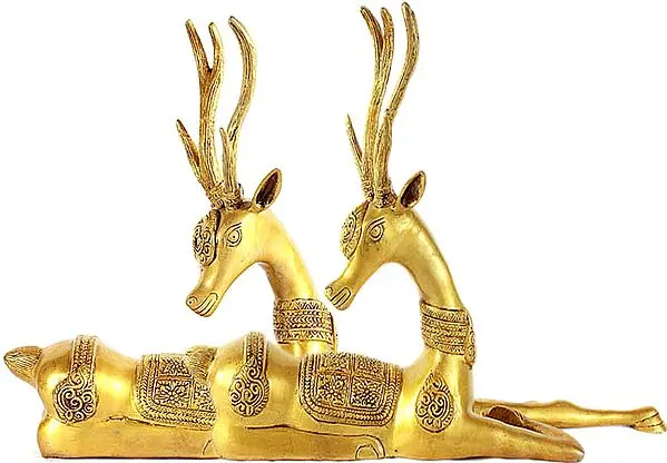 Antelope Pair