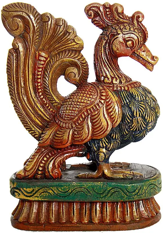 Peacock