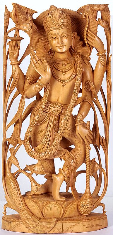 Lord Vishnu in the Dance of Creation