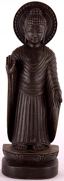 Standing Gandhara Buddha Wearing Roman Toga