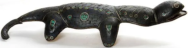 Lizard
