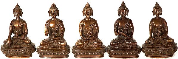 Set of Five Dhyani Buddhas