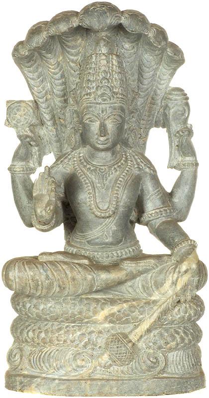 Shesha Shayi Vishnu