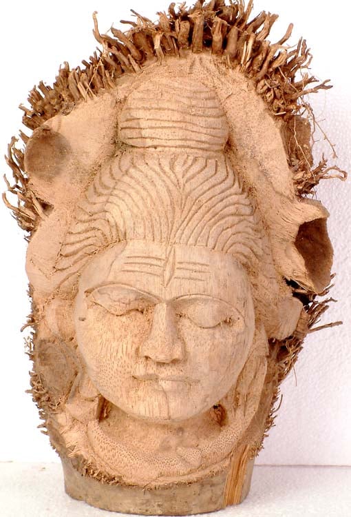Shiva Carved in Coconut