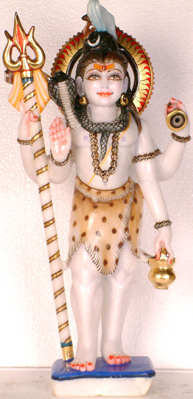 Shiva the Ascetic