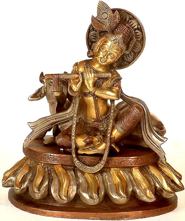 Shri Krishna