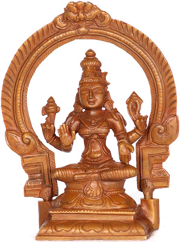 South Indian Form of Mahadevi with Noose and Goad
