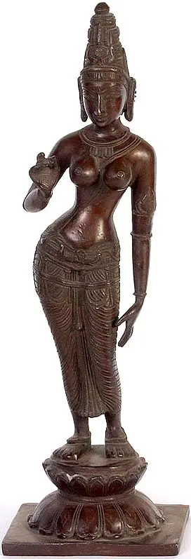 Standing Uma