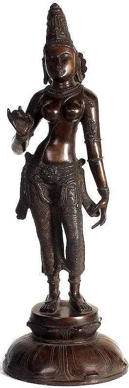 Standing Uma