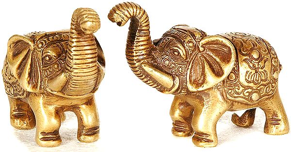 Elephant Pair with Upraised Trunks (Supremely Auspicious According to Vastu)